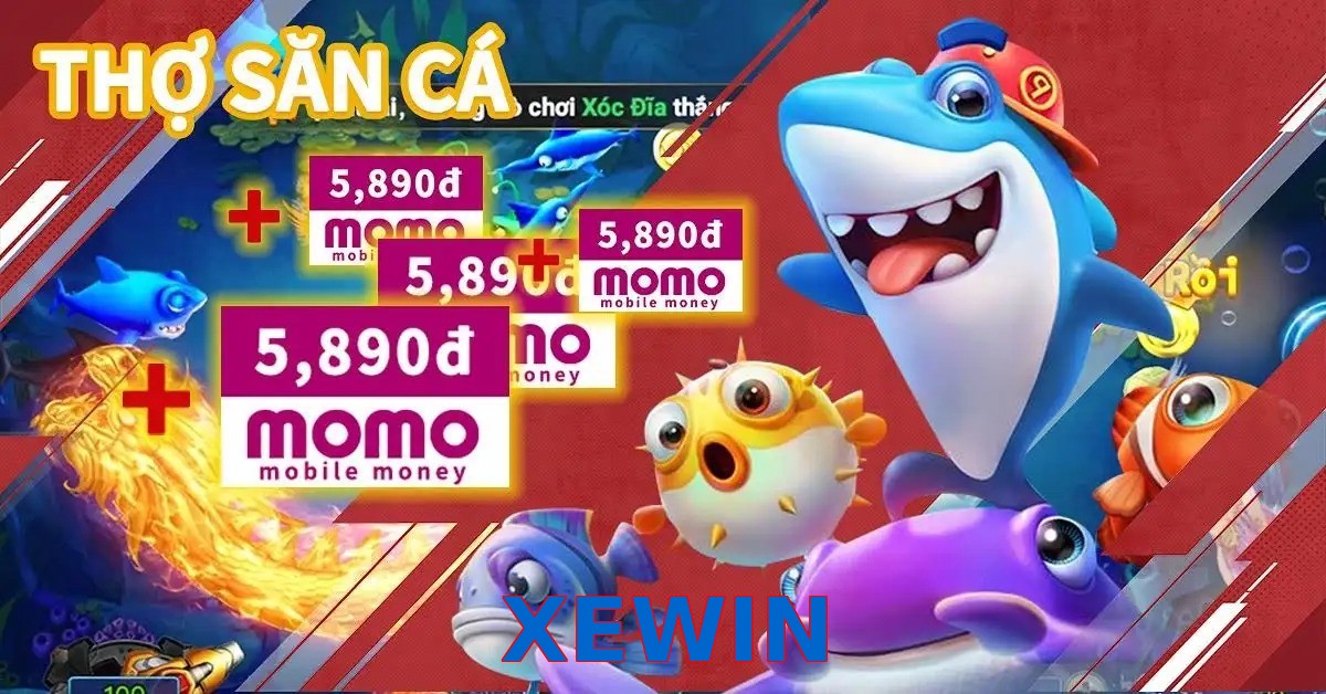 XEWIN