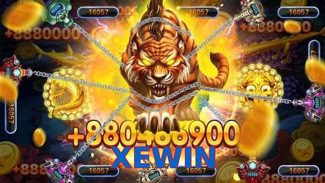XEWIN