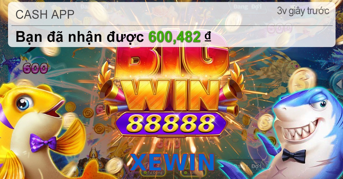 XEWIN